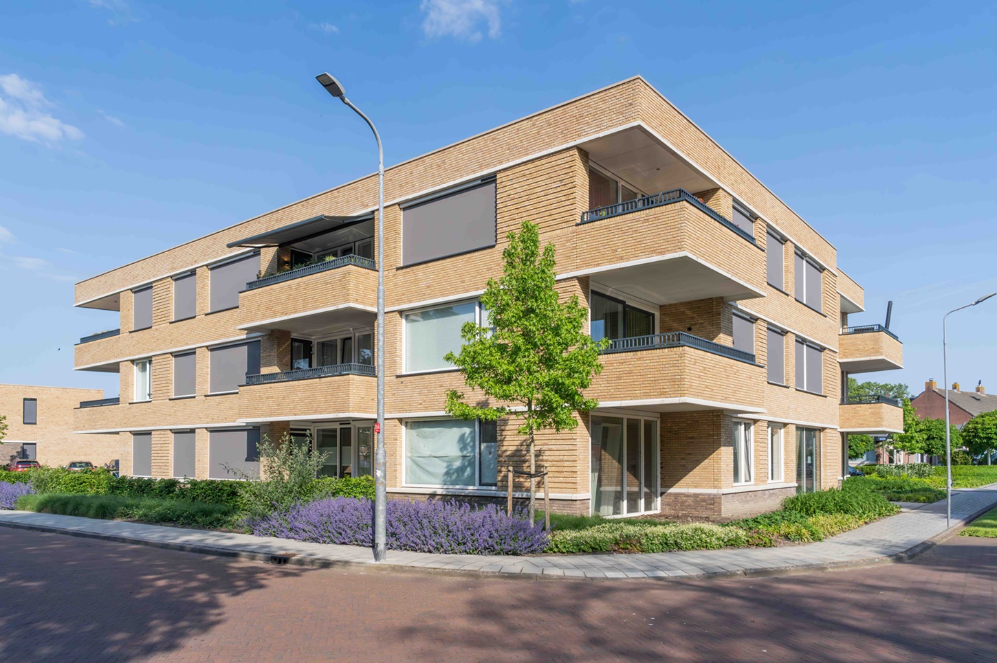 27 mei 2026 Bogor MorgensterMiddelburg (klein)-09073